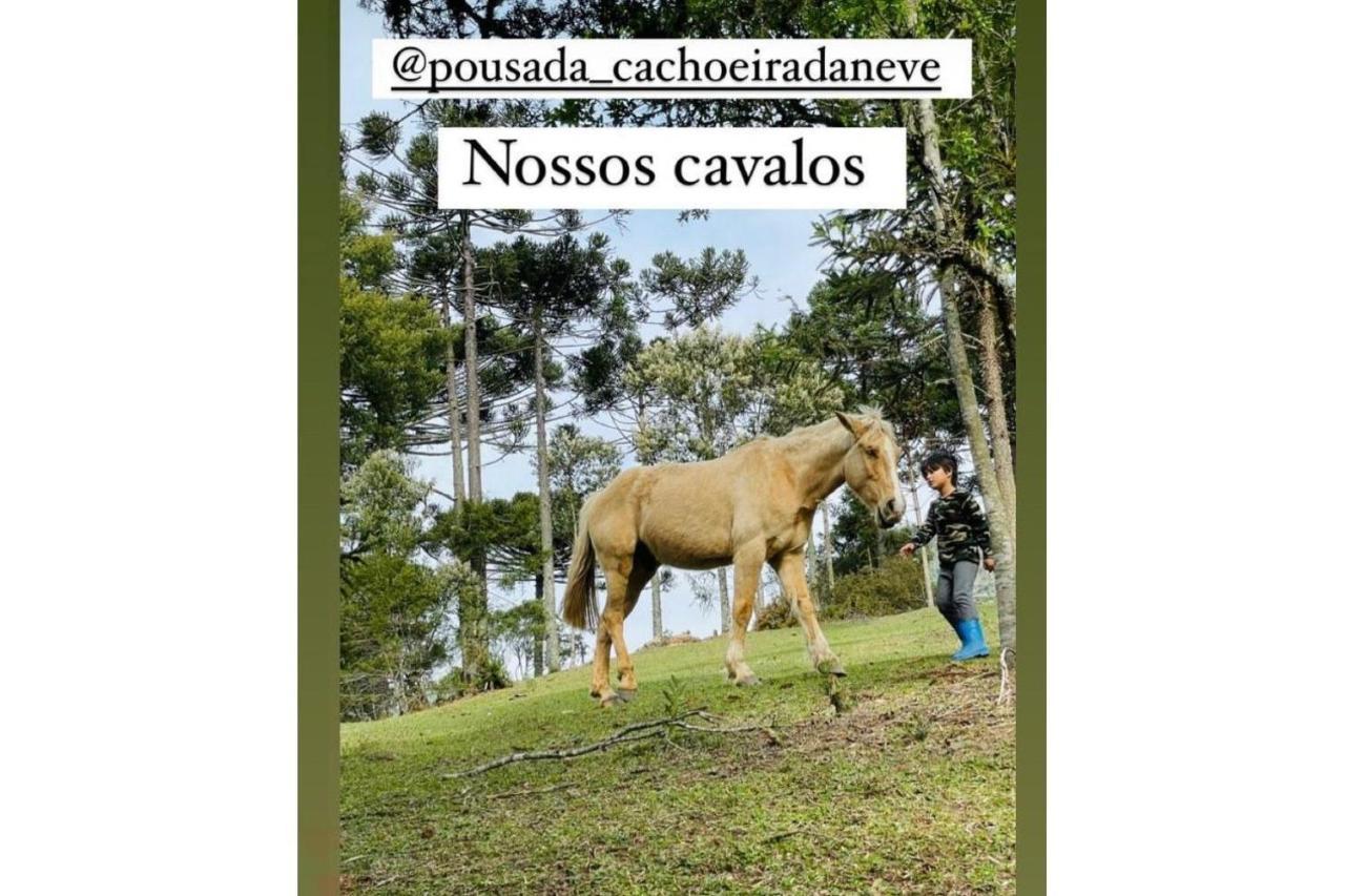 Floresta Secreta- Pousada Cachoeira Da Neve Урубиси Экстерьер фото